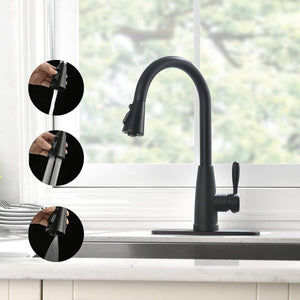 Kitchen Faucet, Splash Proof, Kitchen Sink Faucet, Sink Faucet Kitchen, Kitchen Faucet Pull-Down, Faucet with Sprayer, Bar Faucet, Stainless Steel, Matte Black,  PB1029