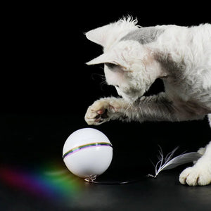 Pet Automatic Ball of Yarn Cat Toy Smart Interactive Cat Toys Colorful LED Self Rotating Ball with Bell and Feather USB Rechargeable Cat Ball Toy Cat Dog Toys Pet Toy