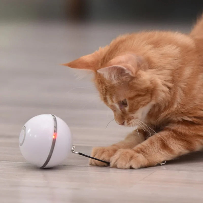 Pet Automatic Ball of Yarn Cat Toy Smart Interactive Cat Toys Colorful LED Self Rotating Ball with Bell and Feather USB Rechargeable Cat Ball Toy Cat Dog Toys Pet Toy