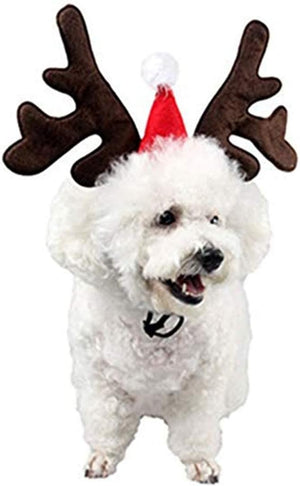 Pet Christmas Headdress Christmas Pet Costume (Hat)