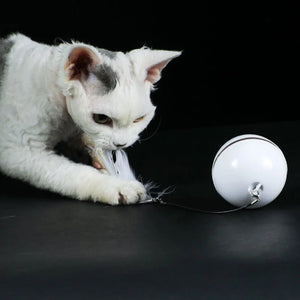 Pet Automatic Ball of Yarn Cat Toy Smart Interactive Cat Toys Colorful LED Self Rotating Ball with Bell and Feather USB Rechargeable Cat Ball Toy Cat Dog Toys Pet Toy